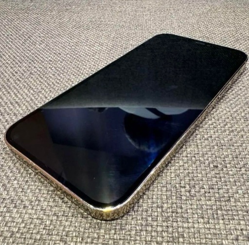 ポーチ iPhone12pro max