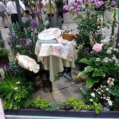 ガーデニングや植物好きの人と話したい😆 − 大阪府