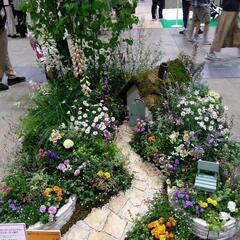 ガーデニングや植物好きの人と話したい😆 - 大阪市