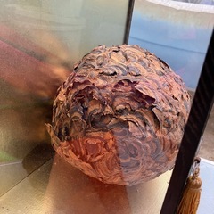 ハチノス　蜂の巣　本物　置物の画像