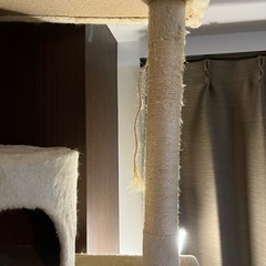 キャットタワー（突っ張りタイプ）の画像