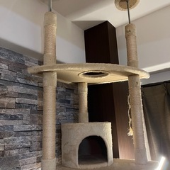 キャットタワー（突っ張りタイプ）の画像