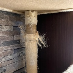 キャットタワー（突っ張りタイプ）の画像