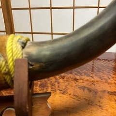 牛の角　彫り物の画像