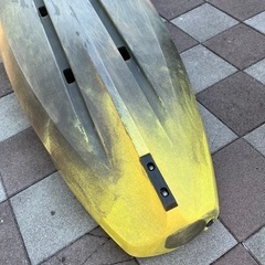 パーセプション　ペスカドールプロ10.0　　