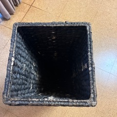 植物　かごの画像