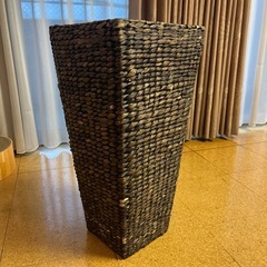 植物　かごの画像