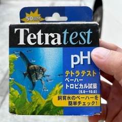 メダカ、熱帯魚pH