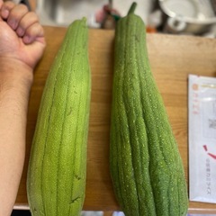 ヘチマ2本