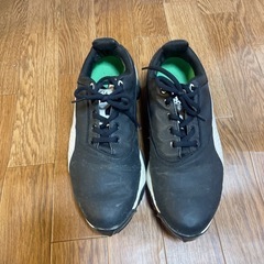 値下げ交渉⭕️ゴルフシューズの画像