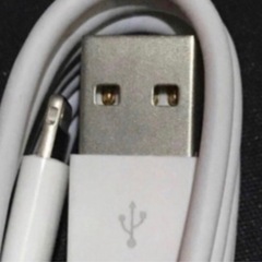 ⑩アイフォン充電器ケーブル2本セットの画像