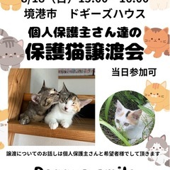 猫の譲渡会