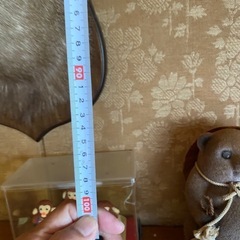 再値下げ 鹿3本角の画像