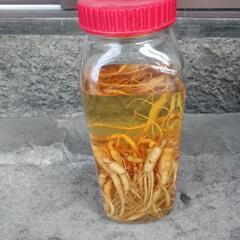 朝鮮人参酒
