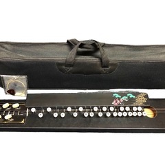 【長期保管品】大正琴 入門セット 琴 黒松模様 和製楽器 弦楽器...