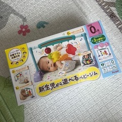 【受付終了】新生児から遊べるベビージム