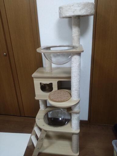 キャットタワー　定価11000円