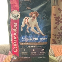 古着 90s USA製 「IAMS」 犬 猫 ペットフード 企業 アニマル T