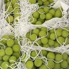 シャインマスカット　3kg
