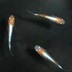 ランキングキーワードに紐づく投稿画像-メダカ