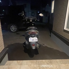 Dio AF62の画像