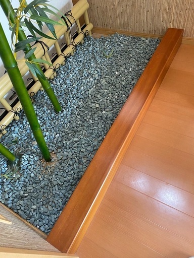 坪庭　室内庭園　庭　青竹　竹　竹垣　砂利　和風庭園　庭園　