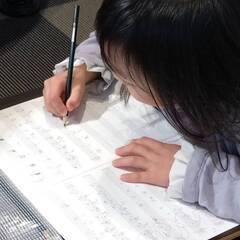 Kidsピアノレッスン♪　無料体験レッスン受付中！の画像