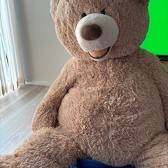 コストコ　熊　ぬいぐるみ　くま