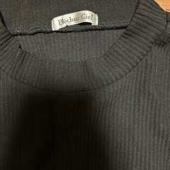 ヒョウ柄　トップスの画像