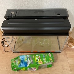 GEX60cm水槽一式
