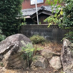 庭石 造園 無料 あげますの画像