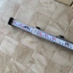 尺とり虫