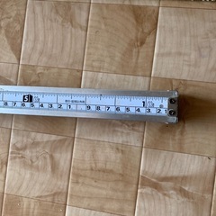 尺とり虫の画像