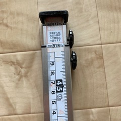 尺とり虫の画像