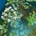 ランキングキーワードに紐づく投稿画像-メダカ