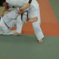 昼柔術練習会(その他組技)の画像