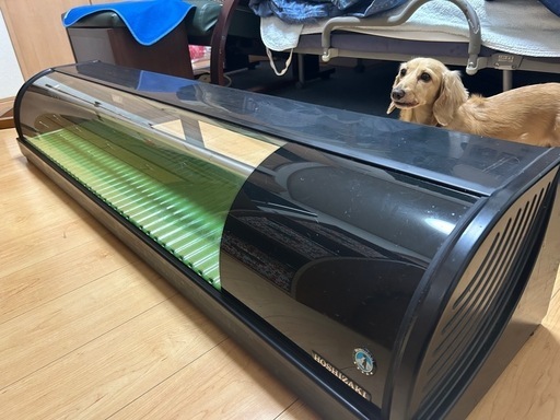 ホシザキネタケース