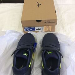 新品★MIZUNO★ ミズノ オールマイティLSII 22L ワーキングシューズ F1GA210105 安全靴 男女兼用 ユニセックス ワーキングシューズ 安全靴 作業靴 職人の画像