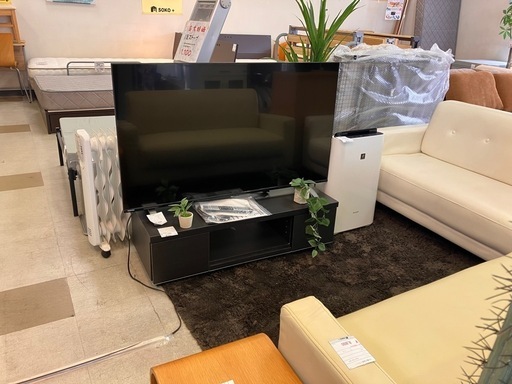【50型4K液晶テレビ】　東芝　2023年製　美品