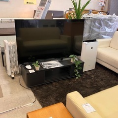 【50型4K液晶テレビ】　東芝　2023年製　美品　