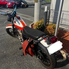 グラストラッカー250 カスタムの画像