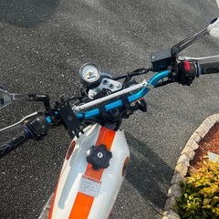 グラストラッカー250 カスタムの画像