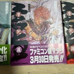 4冊セット摩陀羅　マンガ本　まだらの画像