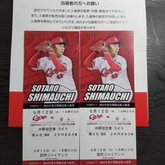 野球観戦チケット
