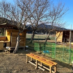 木廃材、トタン等もらってくださぃ‼️