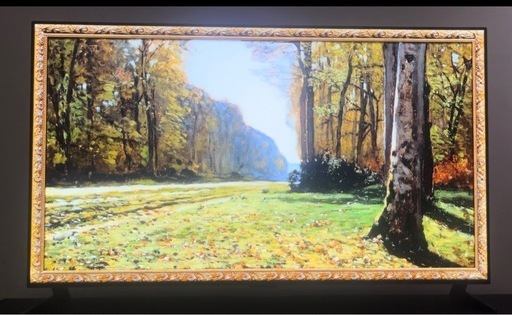 【半額以下でお譲り】LG 有機EL4Kテレビ