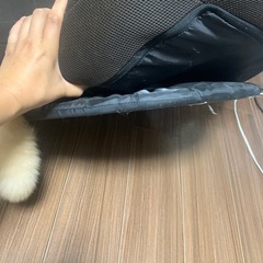 座いす差し上げます。の画像