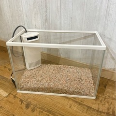 水槽