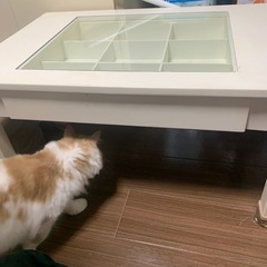 テーブル差し上げます。の画像