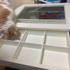 テーブル差し上げます。の画像